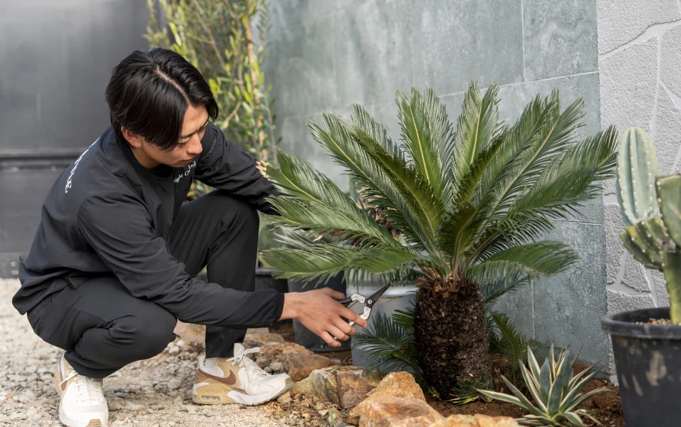 よくある質問イメージ01